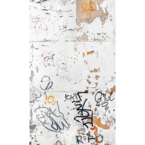Toile de fond photographique 160x265cm gribouillis mural