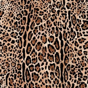 Tissu sweat Takoy léopard