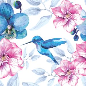 Coton premium Takoy colibri - grand motif