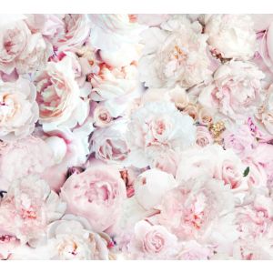 Coton premium Takoy roses Sienne