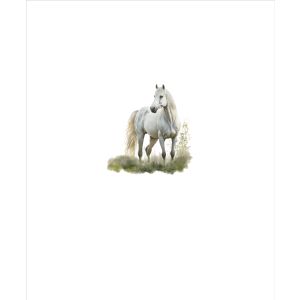 Jersey Takoy COUPON 50x60cm cheval blanc peint