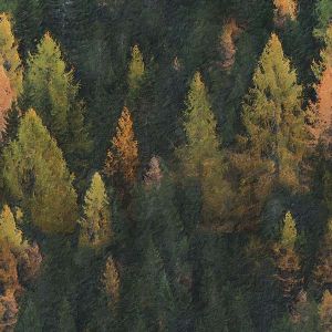 Bord côte lisse fonctionnel métrage- peinture forêt